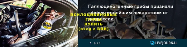 Альфа ПВП Касимов