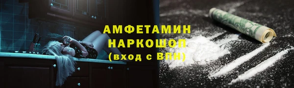 мдпв Карпинск