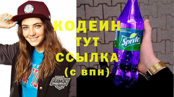 мдпв Карпинск