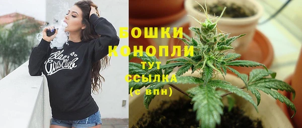 мдпв Карпинск